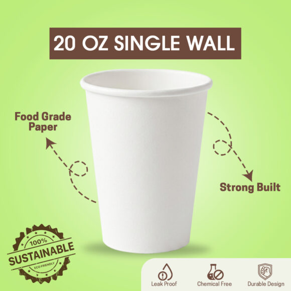20oz SW 580x580