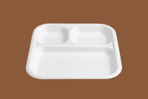 3 CP Meal Plate