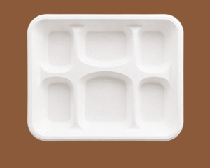 6 CP Meal Plate