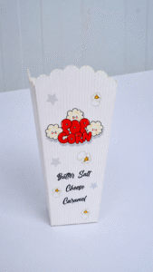 Popcorn Pouches