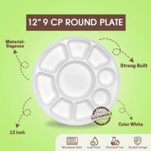 9 CP Meal Plate
